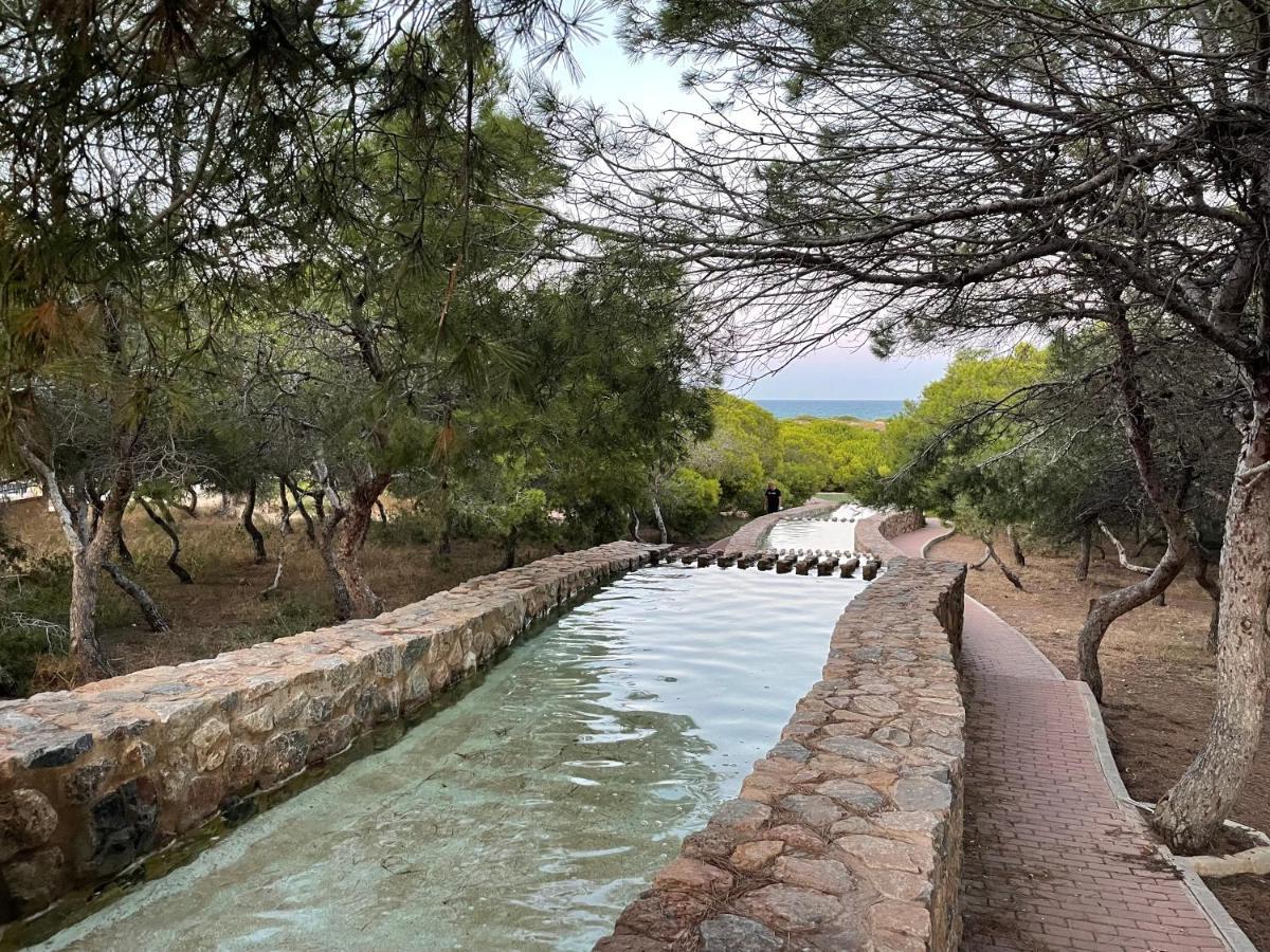 Apartmento Hana Con Terraza - Despues De La Renovacion General La Mata  Dış mekan fotoğraf